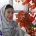 کارآفرینی و اشتغال زایی محوریت اصلی رمز موفقیت مانی است
