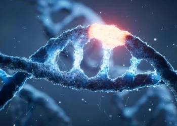 کاهش ۳۰ درصدی کالری و تأثیر آن بر جهش‌های DNA؛ یافته جدید پژوهشگران روی موش‌ها