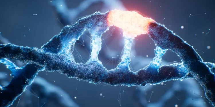 کاهش ۳۰ درصدی کالری و تأثیر آن بر جهشهای DNA؛ یافته جدید پژوهشگران روی موشها