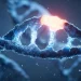 کاهش ۳۰ درصدی کالری و تأثیر آن بر جهشهای DNA؛ یافته جدید پژوهشگران روی موشها