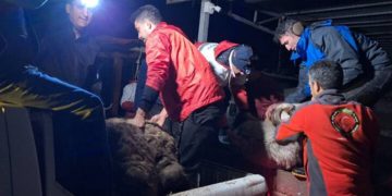در پی بارش شدید باران و آب‌گرفتگی منازل مسکونی در روستاهای شهرستان بیله‌سوار، پنج تیم عملیاتی جمعیت هلال‌احمر استان اردبیل به مناطق حادثه‌دیده اعزام شدند. در این عملیات، امدادگران با استفاده از تجهیزات تخصصی، تخلیه آب از خانه‌های روستایی را آغاز کردند و نیروهای امدادی تا برطرف شدن شرایط اضطراری در منطقه حضور خواهند داشت.  اعزام ۵ تیم امدادی به روستاهای بیله‌سوار  ایرج آقایی، مدیرعامل جمعیت هلال‌احمر استان اردبیل، از آماده‌باش کامل نیروهای امدادی در پی بارش شدید باران و آب‌گرفتگی منازل روستایی شهرستان بیله‌سوار خبر داد.  به گزارش خبرگزاری مهر، بلافاصله پس از دریافت گزارش اولیه از مناطق آسیب‌دیده، پنج تیم عملیاتی جمعیت هلال‌احمر استان اردبیل به این مناطق اعزام شدند. این تیم‌ها در مجموع ۱۴ نیروی امدادی داشتند و با استفاده از سه دستگاه خودروی امدادی، عملیات رسیدگی به وضعیت منازل آب‌گرفته را آغاز کردند.  هدف اصلی این عملیات، تخلیه آب از منازل روستایی و کمک به مدیریت شرایط اضطراری ناشی از بارش‌های شدید عنوان شده است. نیروهای امدادی با حضور در مناطق آسیب‌دیده، روند تخلیه آب را دنبال می‌کنند.  کدام روستاهای بیله‌سوار دچار آب‌گرفتگی شدند؟  بر اساس اعلام مدیرعامل جمعیت هلال‌احمر استان اردبیل، عملیات امدادرسانی در روستاهای اودلو، گون پاپاق و گوگ‌تپه انجام شده است. این روستاها از جمله مناطق گزارش‌شده در ارتباط با آب‌گرفتگی منازل مسکونی شهرستان بیله‌سوار هستند.  آقایی با اشاره به اقدامات انجام‌شده اعلام کرد که در این مناطق، تخلیه آب از منازل مسکونی در دستور کار امدادگران قرار گرفته است. در گزارش اولیه، به آب‌گرفتگی منازل روستایی و ادامه عملیات امدادی اشاره شده، اما جزئیات بیشتری درباره میزان خسارت‌های احتمالی یا تعداد افراد آسیب‌دیده اعلام نشده است.  استفاده از ۶ پمپ آب برای تخلیه منازل  برای سرعت بخشیدن به عملیات تخلیه آب، امدادگران جمعیت هلال‌احمر از شش دستگاه پمپ آب استفاده کردند. این تجهیزات برای خارج کردن آب جمع‌شده در منازل و کمک به کاهش مشکلات ناشی از آب‌گرفتگی به کار گرفته شدند.  به‌کارگیری پمپ‌های آب در کنار اعزام نیروهای عملیاتی و خودروهای امدادی، بخشی از اقدامات انجام‌شده برای رسیدگی به وضعیت خانه‌های روستایی بوده است. طبق اعلام مسئولان، عملیات تخلیه آب و امدادرسانی همچنان ادامه دارد.  آماده‌باش نیروهای هلال‌احمر تا رفع شرایط اضطراری  مدیرعامل جمعیت هلال‌احمر استان اردبیل تأکید کرد که تیم‌های عملیاتی تا رفع کامل شرایط اضطراری در مناطق حادثه‌دیده مستقر خواهند بود. ادامه حضور نیروهای امدادی با هدف پیگیری وضعیت آب‌گرفتگی و انجام اقدامات موردنیاز در روستاهای آسیب‌دیده انجام می‌شود.  در شرایطی که بارش شدید می‌تواند مشکلاتی برای رفت‌وآمد و زندگی روزمره ساکنان مناطق روستایی ایجاد کند، حضور نیروهای امدادی و استفاده از تجهیزات تخلیه آب برای مدیریت وضعیت اهمیت دارد. با این حال، در گزارش منتشرشده، زمان پایان عملیات و ارزیابی نهایی خسارت‌ها مشخص نشده است.  ادامه بارش باران در مناطق شمالی استان اردبیل  بر اساس گزارش منتشرشده، بارندگی از عصر روز گذشته در مناطق شمالی استان اردبیل، از جمله شهرستان بیله‌سوار، آغاز شده و همچنان ادامه داشته است. تداوم بارش‌ها از جمله عوامل مطرح‌شده در ارتباط با آب‌گرفتگی منازل روستایی این شهرستان است.  با ادامه بارندگی و استمرار عملیات امدادی، وضعیت مناطق حادثه‌دیده نیازمند پیگیری است. جمعیت هلال‌احمر استان اردبیل اعلام کرده که نیروهای عملیاتی تا برطرف شدن شرایط اضطراری در منطقه حضور خواهند داشت.  خلاصه جزئیات عملیات امدادرسانی در بیله‌سوار   منطقه حادثه‌دیده: روستاهای شهرستان بیله‌سوار در استان اردبیل. تعداد تیم‌های امدادی: پنج تیم عملیاتی. تعداد نیروهای اعزام‌شده: ۱۴ نفر. خودروهای امدادی: سه دستگاه. تجهیزات تخلیه آب: شش دستگاه پمپ آب. روستاهای نام‌برده‌شده: اودلو، گون پاپاق و گوگ‌تپه. وضعیت عملیات: ادامه امدادرسانی تا رفع شرایط اضطراری. علت حادثه: بارش شدید و ادامه‌دار باران و آب‌گرفتگی منازل روستایی.   در مجموع، پنج تیم عملیاتی جمعیت هلال‌احمر استان اردبیل با ۱۴ نیروی امدادی و تجهیزات لازم برای رسیدگی به آب‌گرفتگی منازل به روستاهای شهرستان بیله‌سوار اعزام شده‌اند. عملیات تخلیه آب در مناطق اعلام‌شده ادامه دارد و نیروهای امدادی تا رفع شرایط اضطراری در محل مستقر خواهند بود.