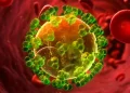 مهار ویروس شبیه HIV برای چهار سال با تزریق تنها یک دوز پادتن آزمایشی